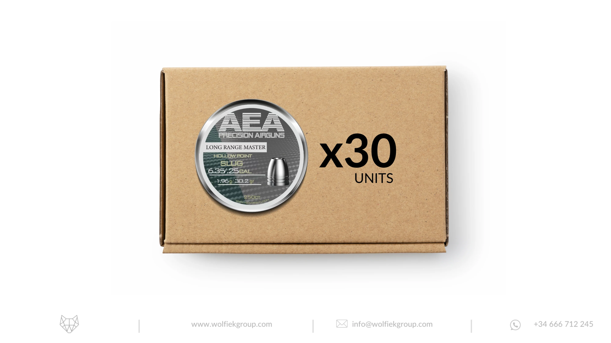 AEA Master Box Long Range Master Slugs · Hollow Point · Cal .25 (6.35mm) - image 1 AEA Master Box Long Range Master Slugs · Hollow Point · Cal .25 (6.35mm)