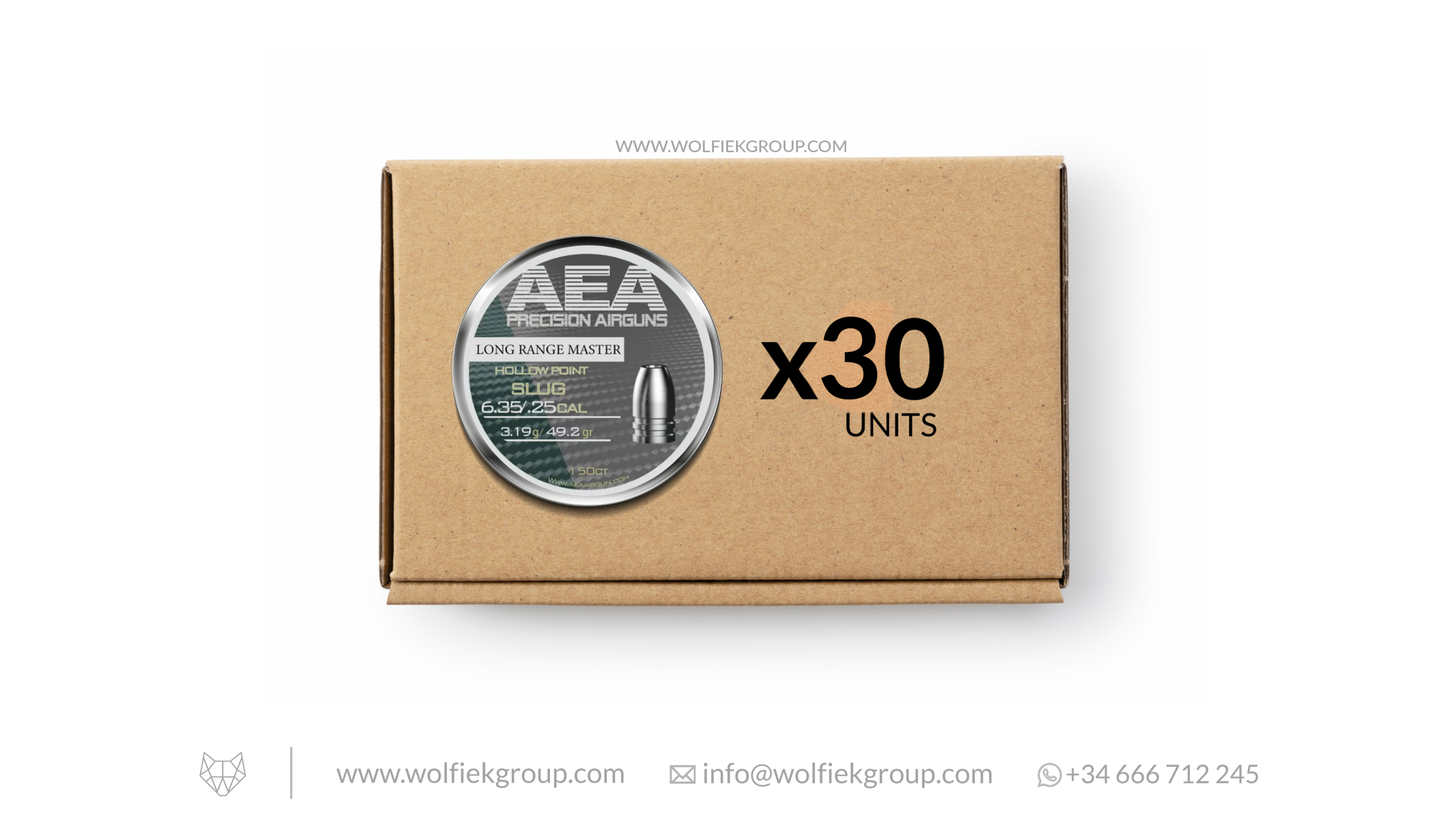 AEA Master Box Long Range Master Slugs · Hollow Point · Cal .25