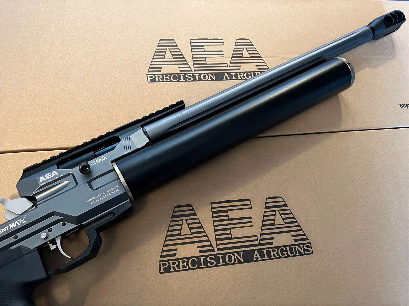 AEA Precision Airgun Element Max with Customized Upgrades