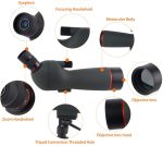 Gumo 20-60x60 Spotting Scope with Tripod,HD BAK4 Prism Full Multi-Coated Lens