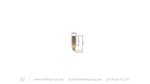 1/8 BSP Male to Foster Female Adapter - PCP Airguns