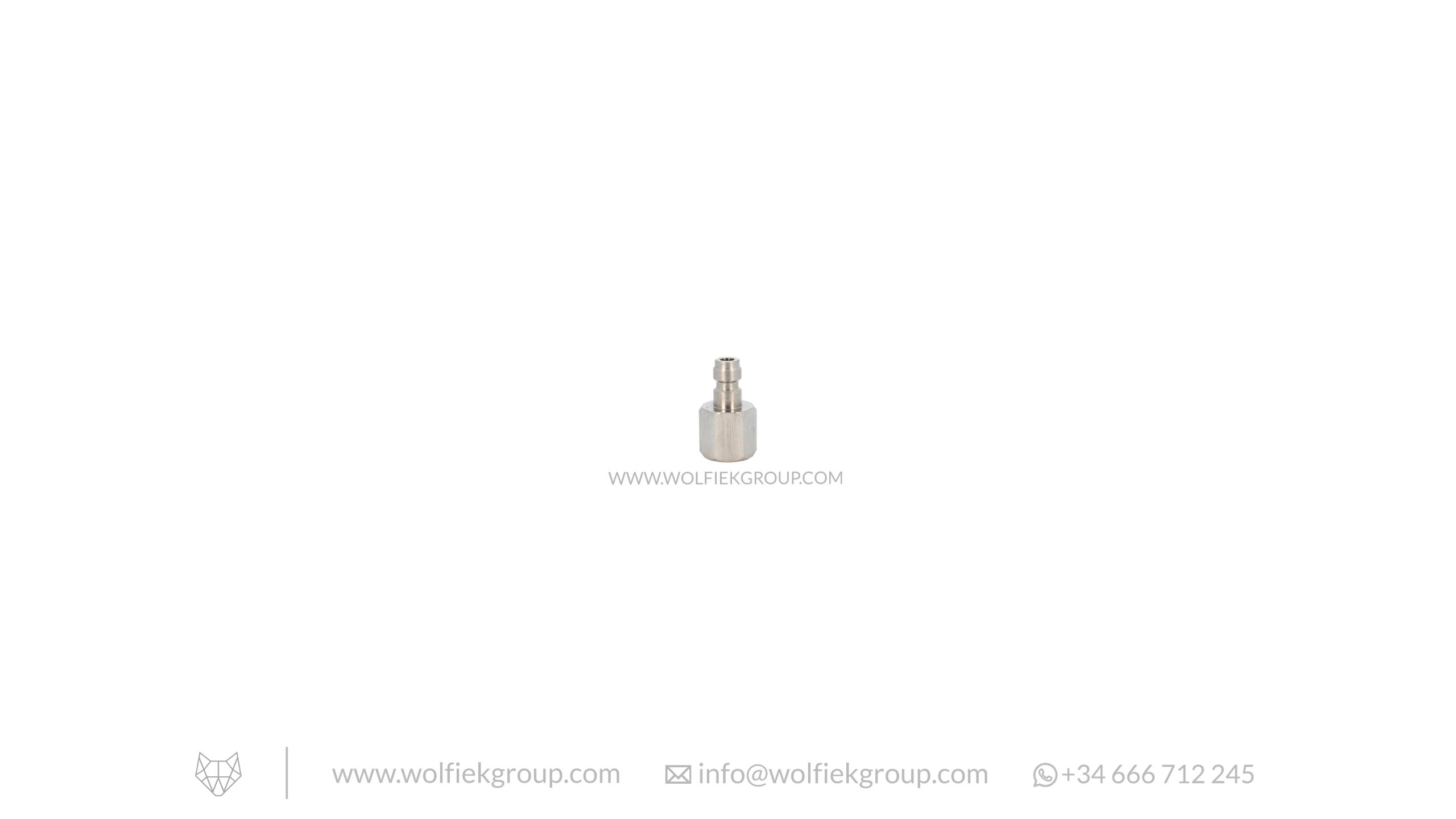Wolfiek Group Foster Male to G1/8" BSP Female Adapter - image 1 Wolfiek Group Foster Male to G1/8" BSP Female Adapter