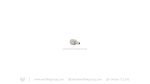 Wolfiek Group Foster Male to G1/8" BSP Female Adapter