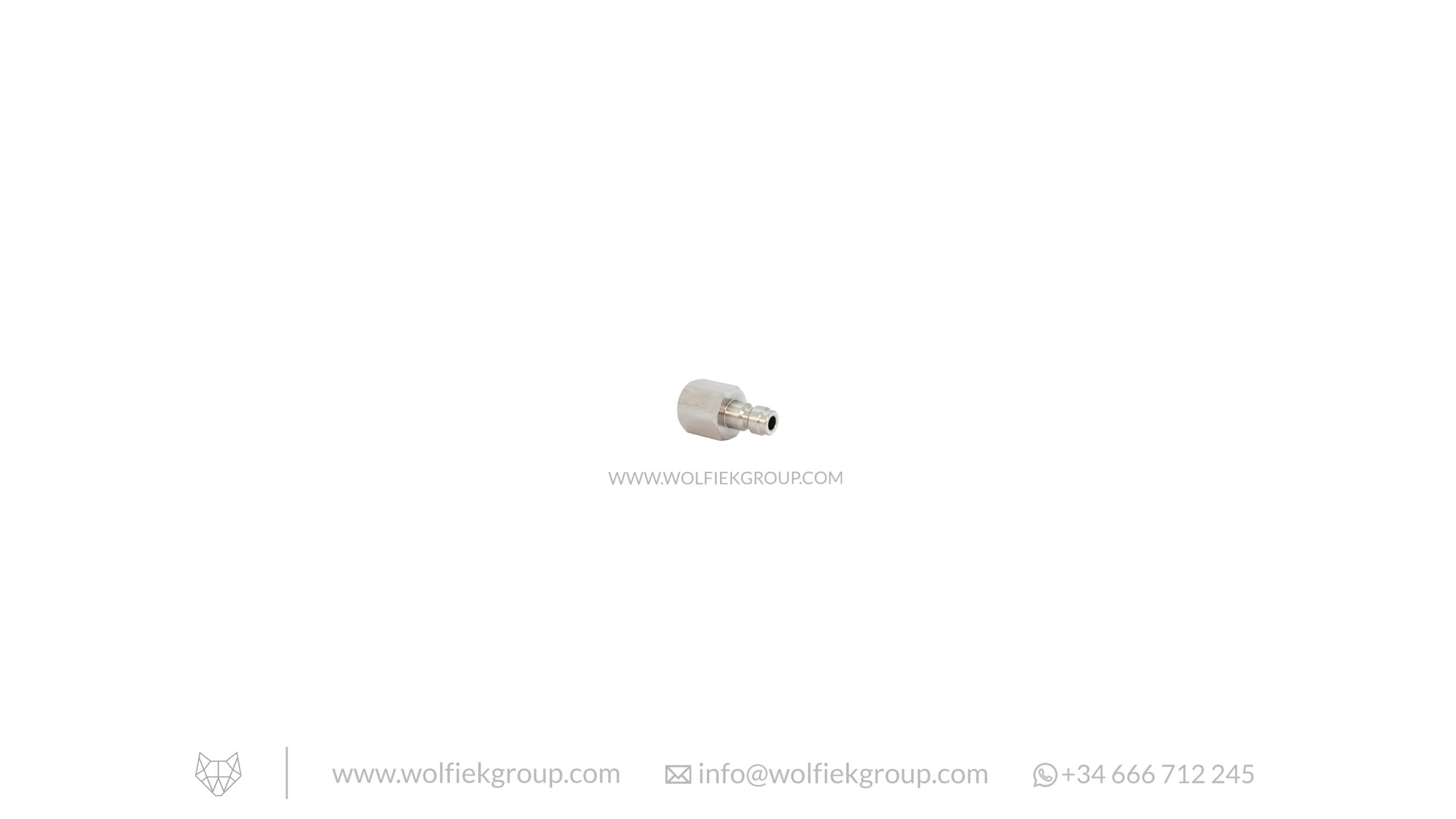 Wolfiek Group Foster Male to G1/8" BSP Female Adapter