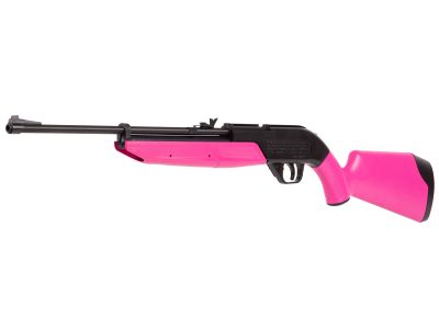 Crosman 760 Pumpmaster, Pink Stock | TopGun-Airguns — Premium Air ...